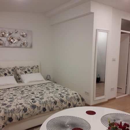 Apartman Mmvg Studio Zagreb Airport Velika Gorica Exterior photo